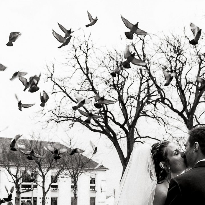 Chloé & Maximilien